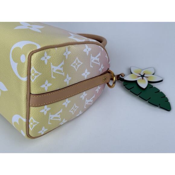 Louis Vuitton Monogram Giant By The Pool Speedy Bandouliere 25 Light Pink C-6 - Picture 12 of 16